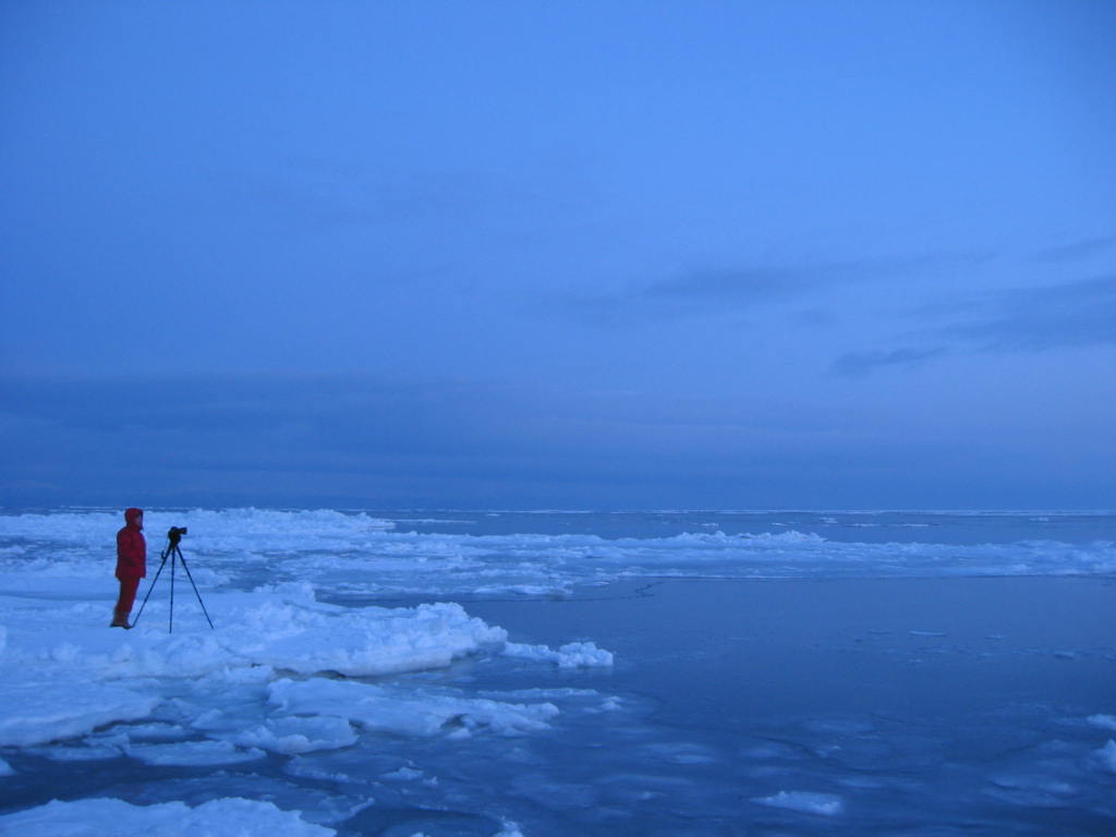 drift ice