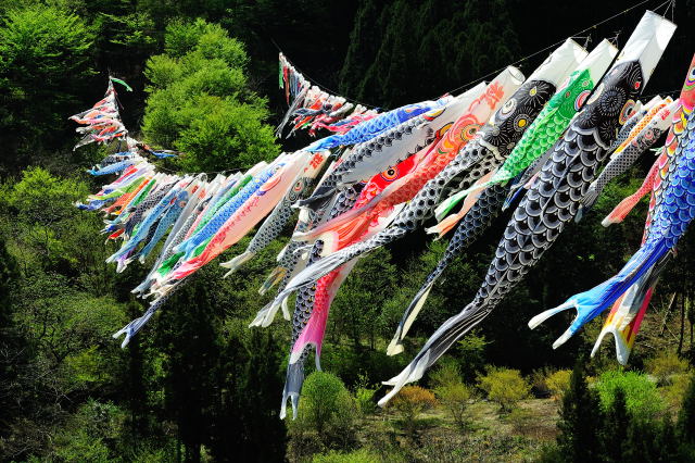 koinobori