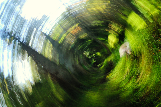 usumurasakifusentake