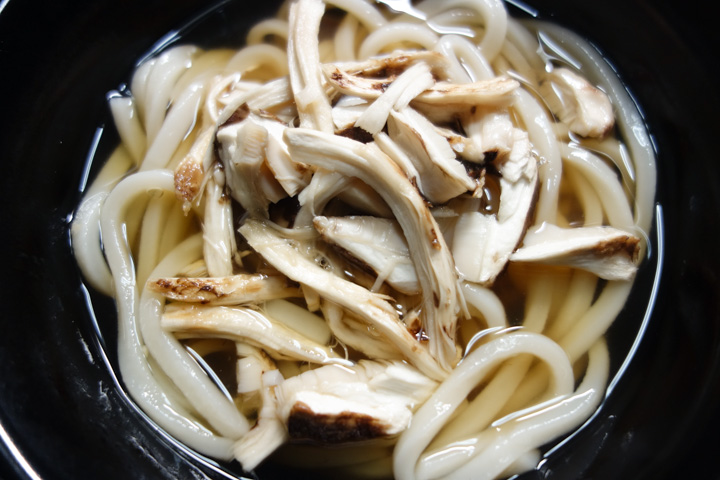 kinoko udon