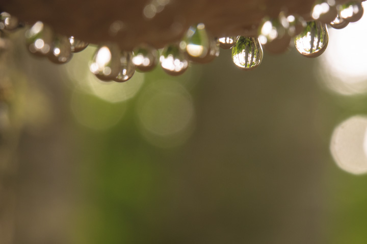 tsugasarunokoshikake