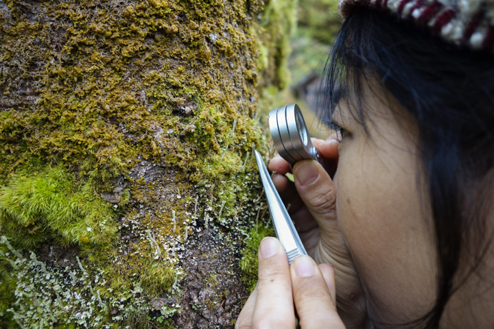mukumukugoke/fujii shisyo