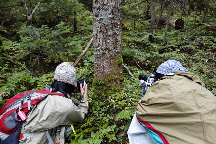 fujii shisyo/k joshi