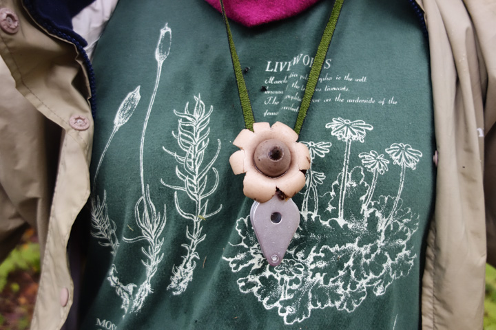 fujiisishiyou/fukurotuchigaki