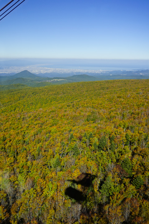 kofukisarunokoshikake