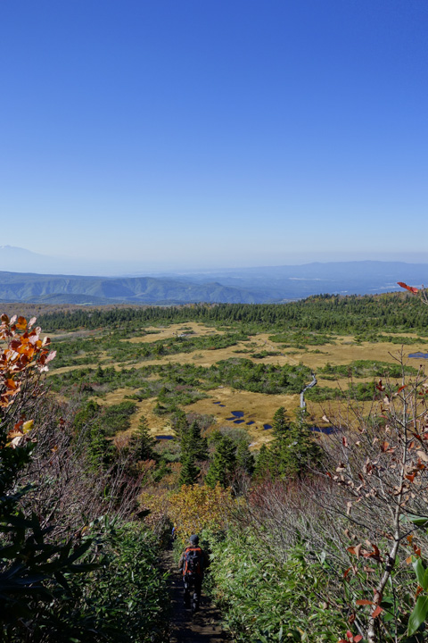 kofukisarunokoshikake