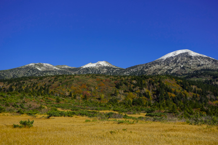 kofukisarunokoshikake