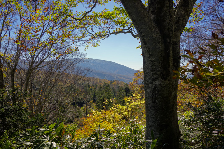 kofukisarunokoshikake