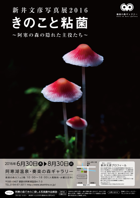 a photographic exhibition