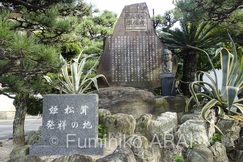 iwadekingakukenkyusho