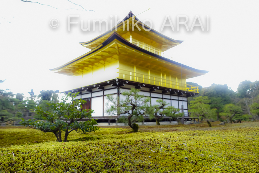 kinkaku