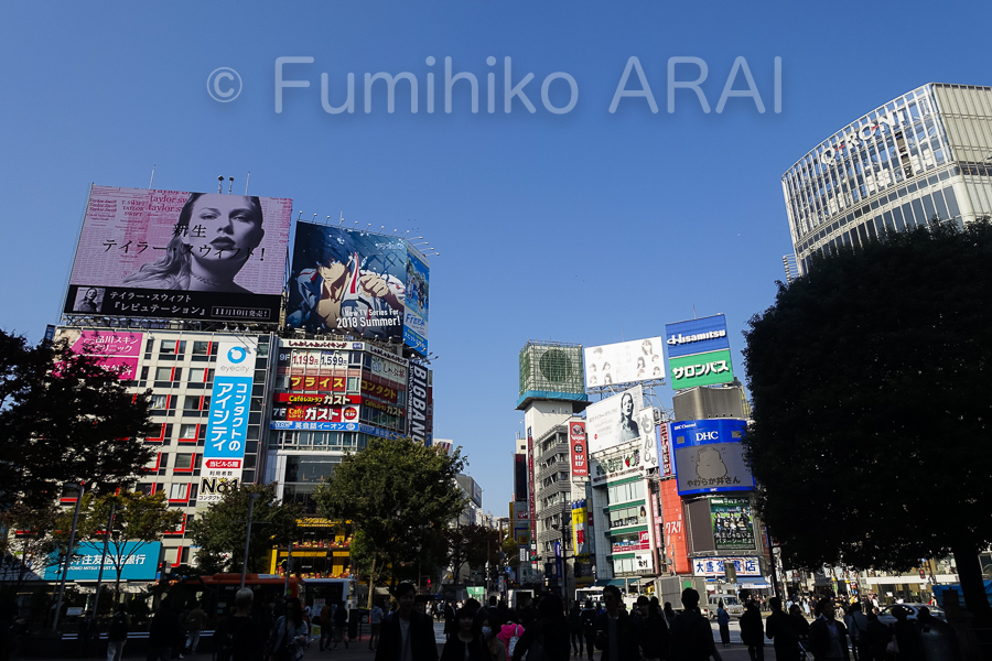 shibuya