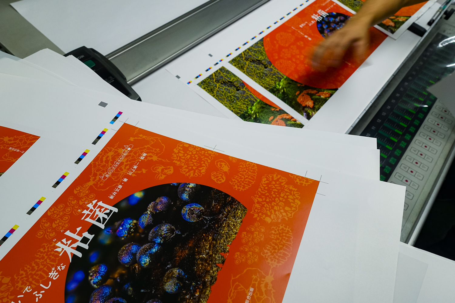 kireidefushiginanenkin