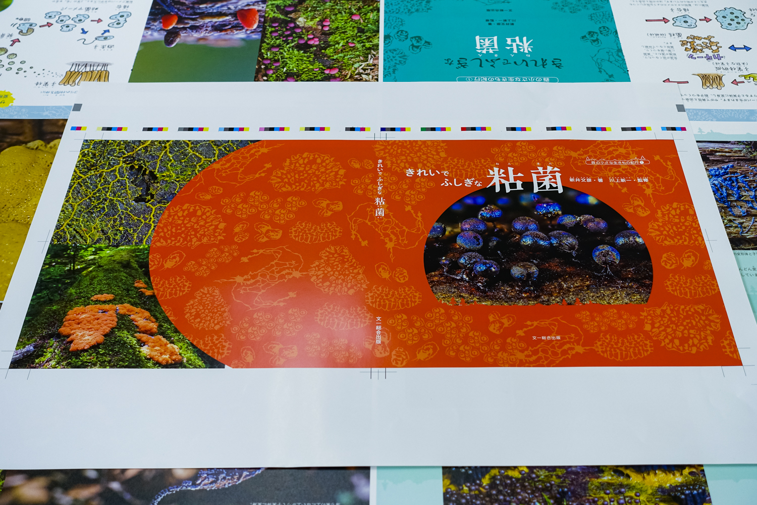 kireide fushigina nenkin