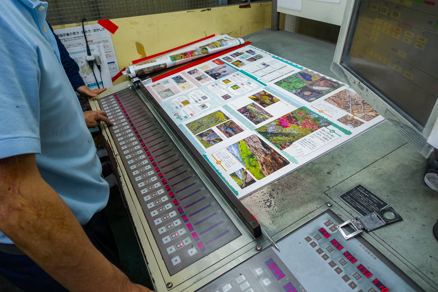 kireidefushiginanenkin