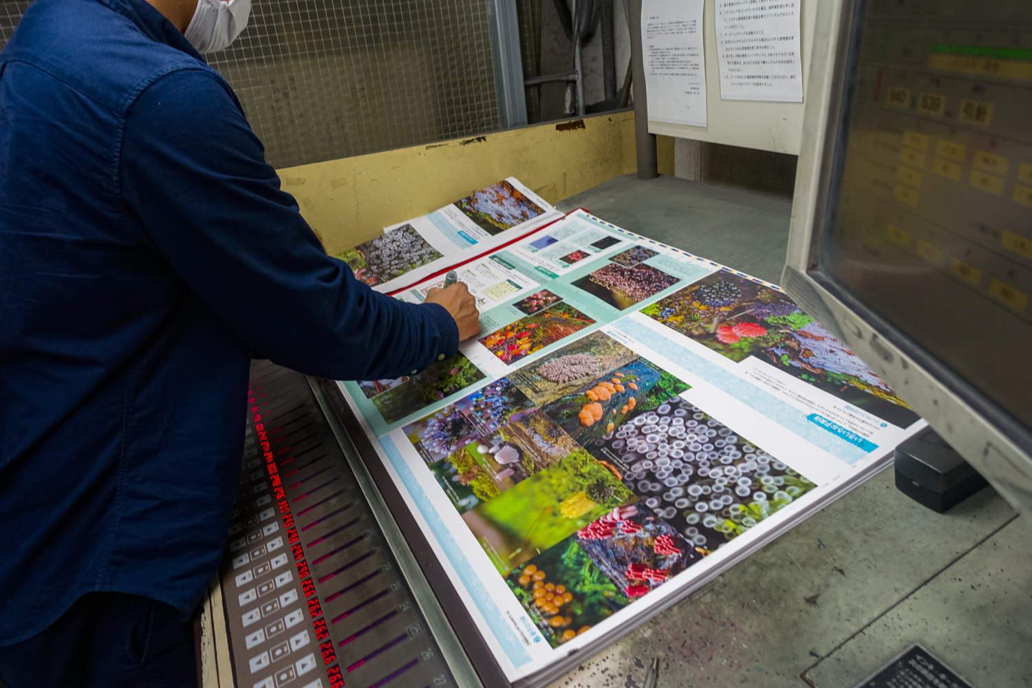 kireidefushiginanenkin